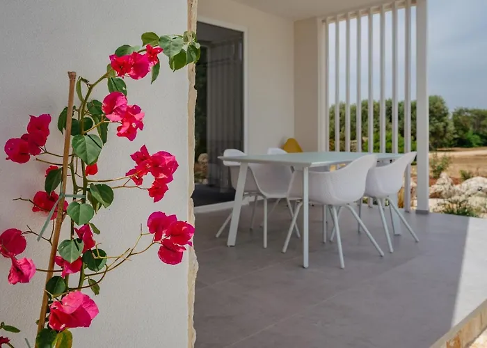 Macchia Piccinna مزرعة للإقامة *