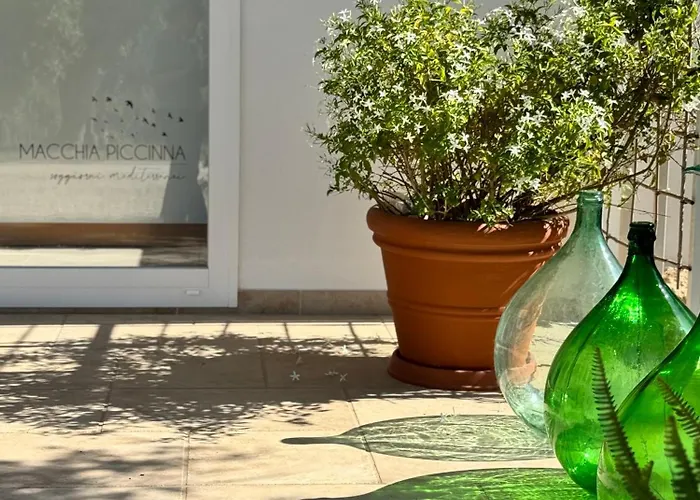 مزرعة للإقامة Macchia Piccinna مارودجو